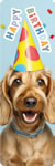 Bookmarks - Birthday